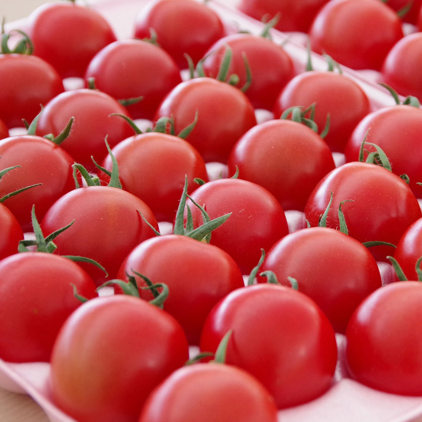 あま壱岐 ミディトマト(約30粒) - 壱岐の潮風「あま壱岐」オンラインショップ